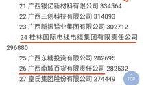 广西最新爆料公司有哪些,盘点崛起的本土创新科技公司
